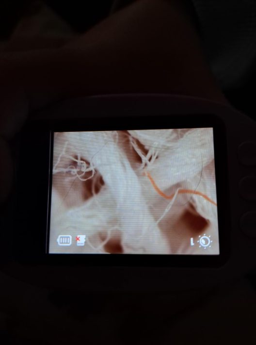 Amazon Customer — customer photo
