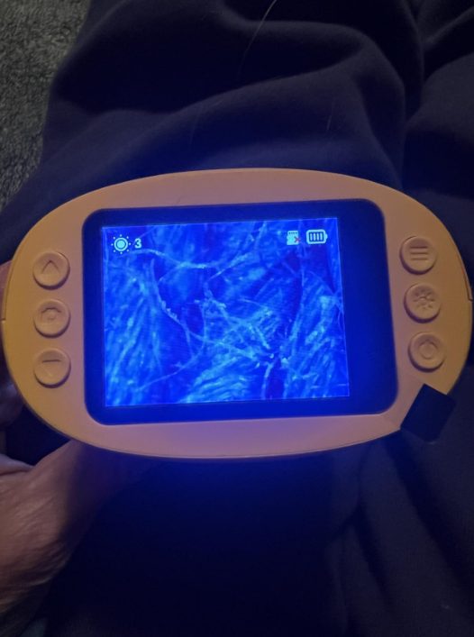 Sandy C. — customer photo