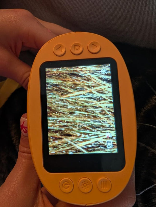 Z. C. — customer photo